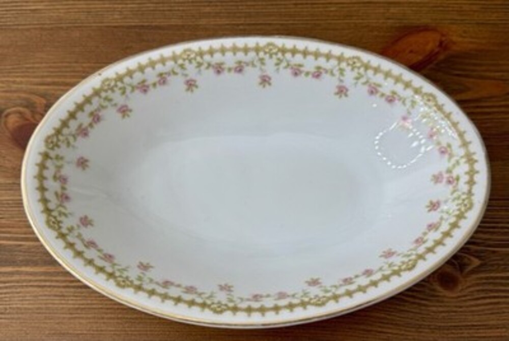 Bassett China Platter Serving Bowl Czechoslovakia China, Roses 9"